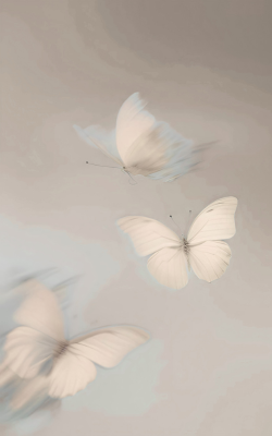 healing, transformation