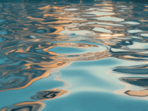 Understanding body responses to sexual trauma and abuse