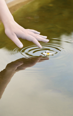 healing, transformation