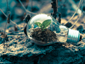 Body memories and trauma recovery for sexual abuse survivors