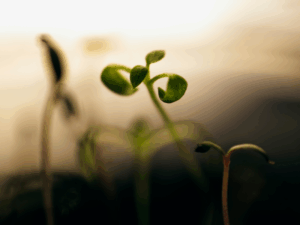  Hope for healthy sexuality after sexual trauma - healing is possible for survivors